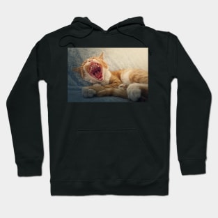 sleepy orange cat yawning Hoodie